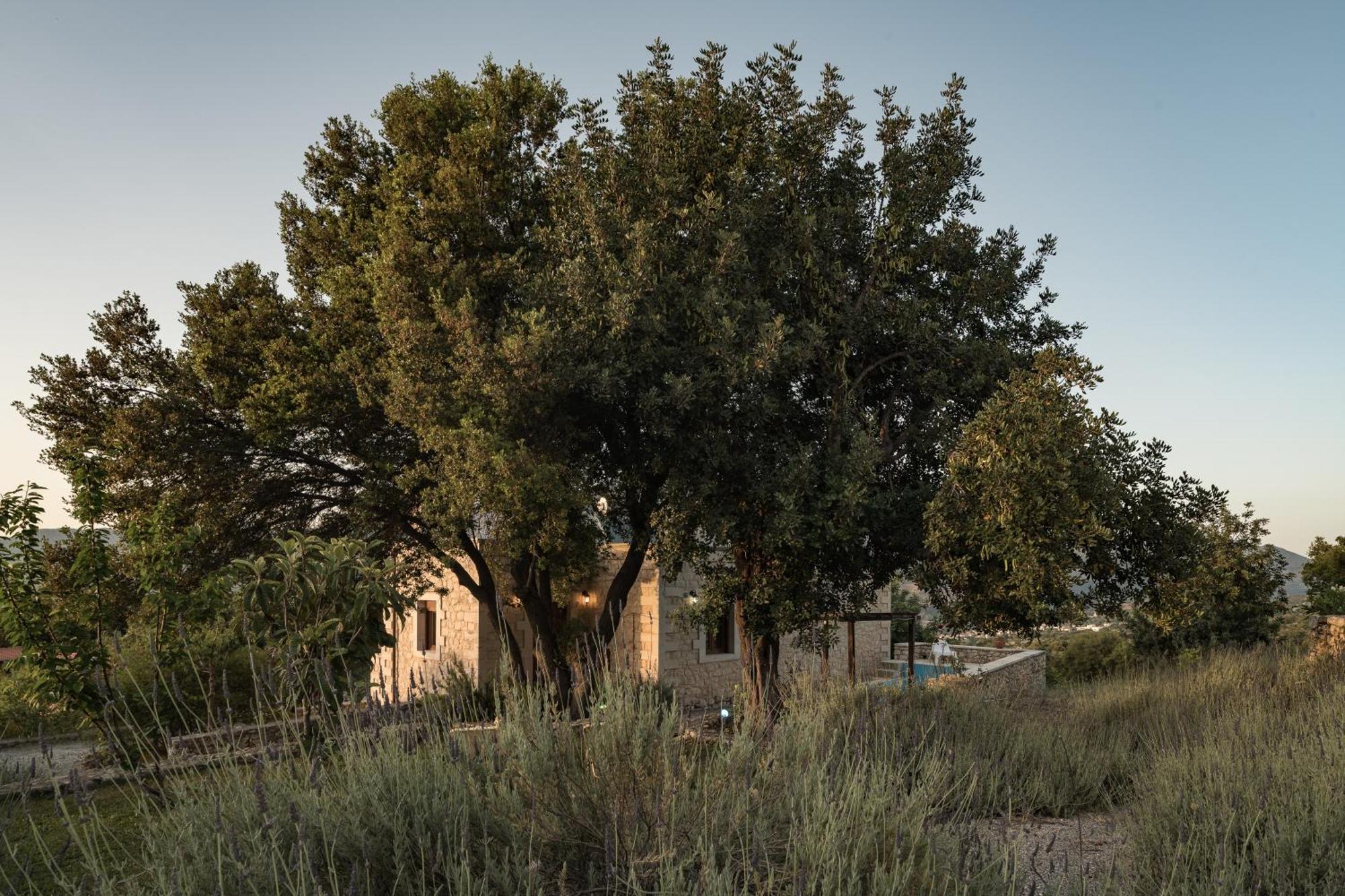 Koules Estate, With Private Pools & Bbq - Embracing Nature, By Thinkvilla Argouli Номер фото